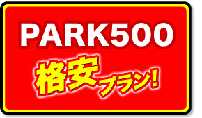 park500