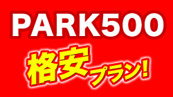 park500